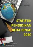 Binjai City Education Statistics 2020