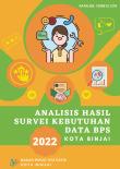 Analysis of Data Needs Survey Results Binjai Municipality 2022