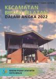 Binjai Selatan Subdistrict In Figures 2022