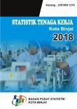 Statistik Tenaga Kerja Kota Binjai 2018