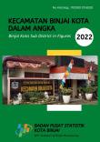 Kecamatan Binjai Kota Dalam Angka 2022