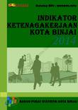 Indikator Ketenagakerjaan Kota Binjai Tahun 2014