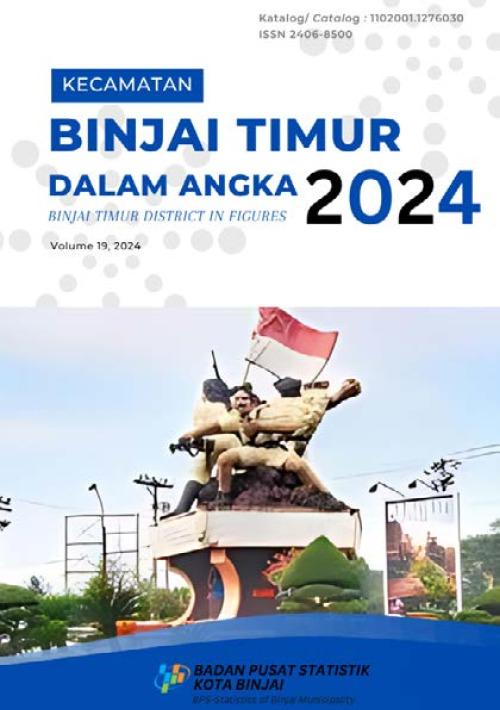 Binjai Timur District in Figures 2024