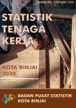 Binjai City Manpower Statistics 2020