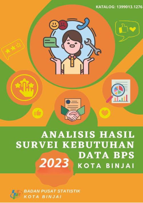 Analysis of Data Needs Survey Results Binjai Municipality 2023