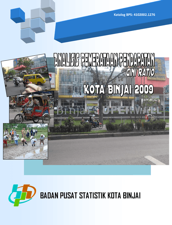 ANALISIS PEMERATAAN PENDAPATAN KOTA BINJAI 2009